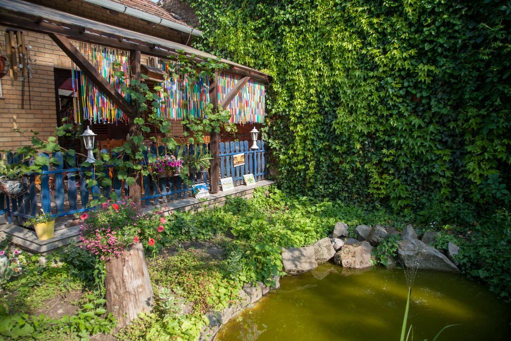 Medeno Srce Villa Palic Bagian luar foto