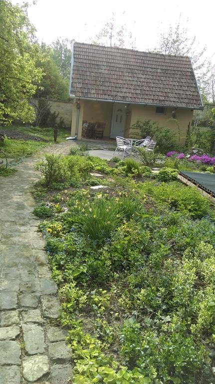 Medeno Srce Villa Palic Bagian luar foto